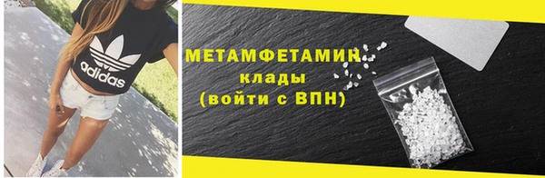 ПСИЛОЦИБИНОВЫЕ ГРИБЫ Осинники