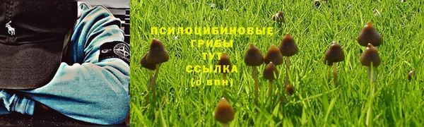 гидропоника Переславль-Залесский
