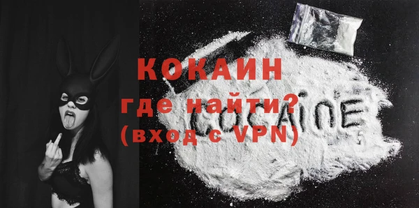 ПСИЛОЦИБИНОВЫЕ ГРИБЫ Осинники