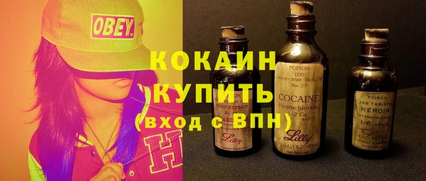 ПСИЛОЦИБИНОВЫЕ ГРИБЫ Осинники