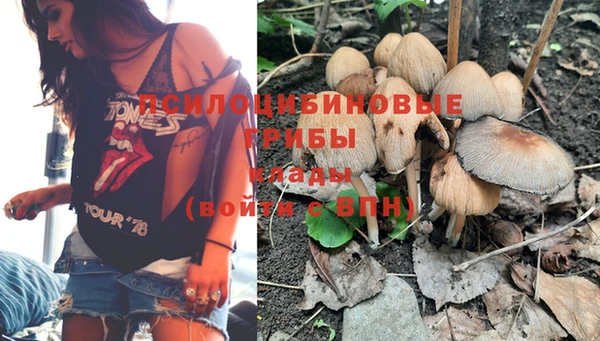 таблы Осташков