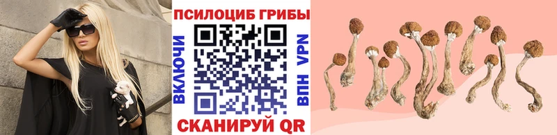 Псилоцибиновые грибы MAGIC MUSHROOMS  это телеграм  Наволоки 